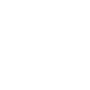 SDP Logo New copy-01 (1)